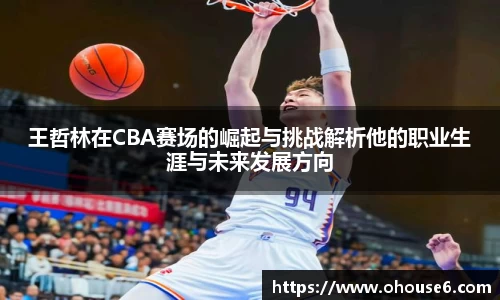 王哲林在CBA赛场的崛起与挑战解析他的职业生涯与未来发展方向