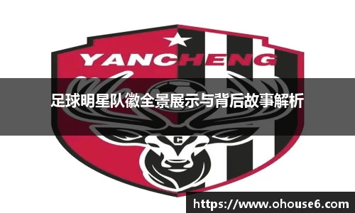 足球明星队徽全景展示与背后故事解析