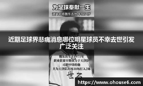 近期足球界悲痛消息哪位明星球员不幸去世引发广泛关注